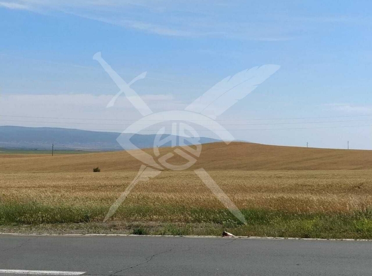 Парцел в Поморие - 14013 кв.м за 12 €/кв.м - Снимка #1