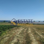 Парцел в с. Стряма, Област Пловдив - 3594 кв.м за 11 €/кв.м - Снимка #1