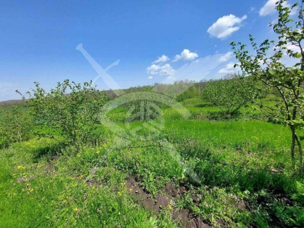 Парцел в с. Драчево, Област Бургас - 765 кв.м за 93 €/кв.м - Снимка #1