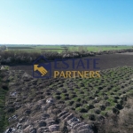 Парцел в Пловдив, Индустриална зона - Север - 9100 кв.м за 34 €/кв.м - Снимка #1