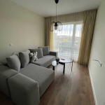 Дава се под наем Тристаен апартамент в София, Бъкстон - 80 кв.м за 714 € - Снимка #1