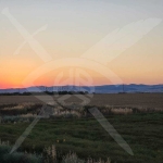 Къща в Бургас, Сарафово - 203 кв.м за 716 €/кв.м - Снимка #1