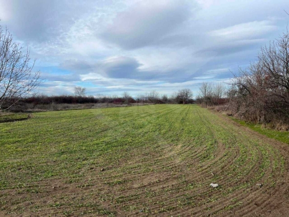 Парцел в с. Царацово, Област Пловдив - 3076 кв.м за 7 €/кв.м - Снимка #1