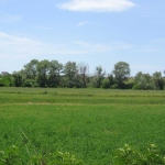 Парцел в с. Драговищица, Област София-област - 2500 кв.м за 16 €/кв.м - Снимка #1