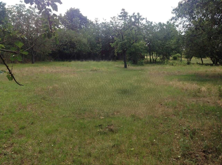 Парцел в с. Червенци, Област Варна - 859 кв.м за 4 €/кв.м - Снимка #1