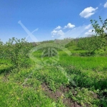 Парцел в с. Драчево, Област Бургас - 765 кв.м за 93 €/кв.м - Снимка #1