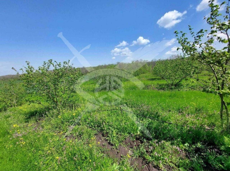 Парцел в с. Драчево, Област Бургас - 765 кв.м за 93 €/кв.м - Снимка #1