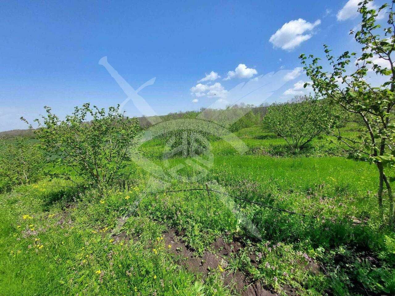 Парцел в с. Драчево, Област Бургас - 765 кв.м за 93 €/кв.м - Снимка #1