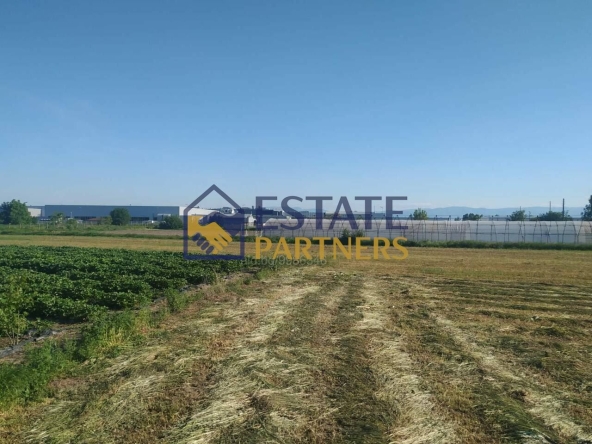 Парцел в с. Стряма, Област Пловдив - 3594 кв.м за 11 €/кв.м - Снимка #1