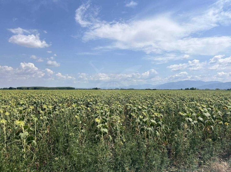 Парцел в с. Ягодово, Област Пловдив - 8421 кв.м за 4 €/кв.м - Снимка #1