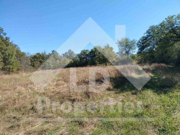 Парцел в с. Бърдарево, Област Варна - 1532 кв.м за 6 €/кв.м - Снимка #1