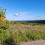 Парцел в Варна, м-т Боровец - юг - 10042 кв.м за 25 €/кв.м - Снимка #1