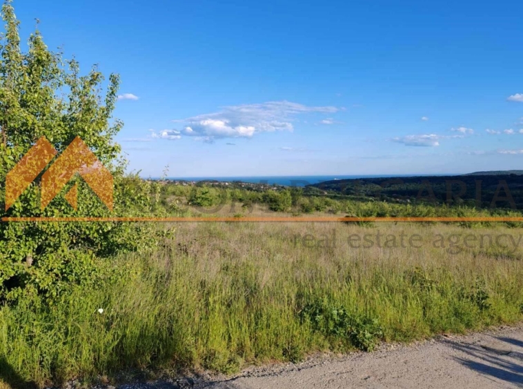 Парцел в Варна, м-т Боровец - юг - 10042 кв.м за 25 €/кв.м - Снимка #1