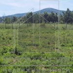 Парцел в с. Марково, Област Пловдив - 712 кв.м за 52 €/кв.м - Снимка #1