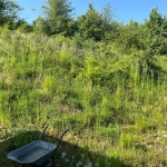 Парцел в София, Център - 1000 кв.м за 71 €/кв.м - Снимка #1