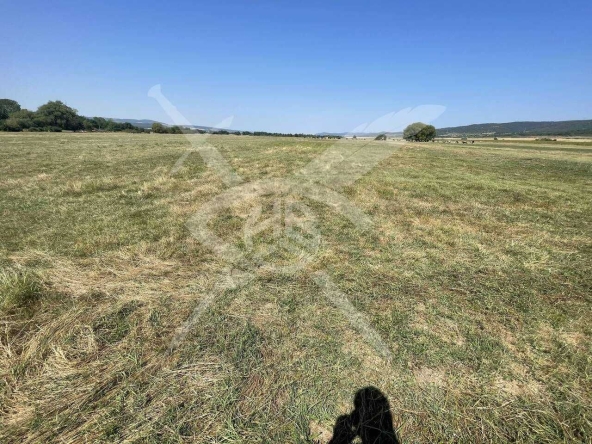 Парцел в с. Кошарица, Област Бургас - 10000 кв.м за 6 €/кв.м - Снимка #1