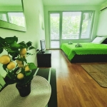 Дава се под наем Едностаен апартамент в Бургас, Сарафово - 35 кв.м за 248.88 € - Снимка #1