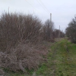 Парцел в Вълчи дол - 1500 кв.м за 21 €/кв.м - Снимка #1