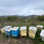 Парцел в Казанлък - 251 кв.м за 22 €/кв.м - Снимка #1