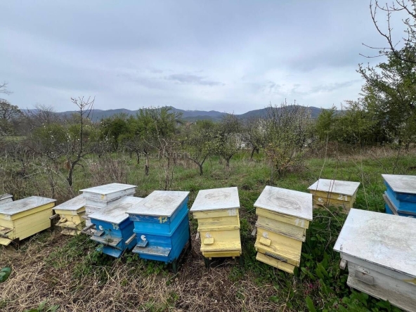 Парцел в Казанлък - 251 кв.м за 22 €/кв.м - Снимка #1