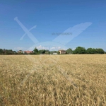 Парцел в с. Строево, Област Пловдив - 3800 кв.м за 5 €/кв.м - Снимка #1