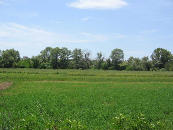 Парцел в с. Драговищица, Област София-област - 2500 кв.м за 9 €/кв.м - Снимка #1