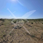 Земеделски имот в с. Каменар, Област Бургас -  кв.м за 6460 €/дка - Снимка #1