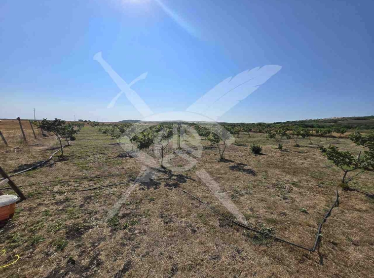Земеделски имот в с. Каменар, Област Бургас -  кв.м за 6460 €/дка - Снимка #1