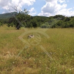 Парцел в с. Сърнегор, Област Пловдив - 55655 кв.м за 1 €/кв.м - Снимка #1