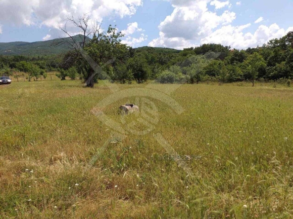 Парцел в с. Сърнегор, Област Пловдив - 55655 кв.м за 1 €/кв.м - Снимка #1