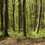 Земеделски имот в Плевен, Индустриална зона -  кв.м за 500 €/дка - Снимка #1