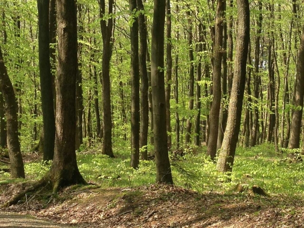 Земеделски имот в Плевен, Индустриална зона -  кв.м за 500 €/дка - Снимка #1