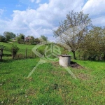 Парцел в с. Дебелт, Област Бургас - 1065 кв.м за 8 €/кв.м - Снимка #1