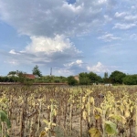 Парцел в с. Строево, Област Пловдив - 3790 кв.м за 9 €/кв.м - Снимка #1