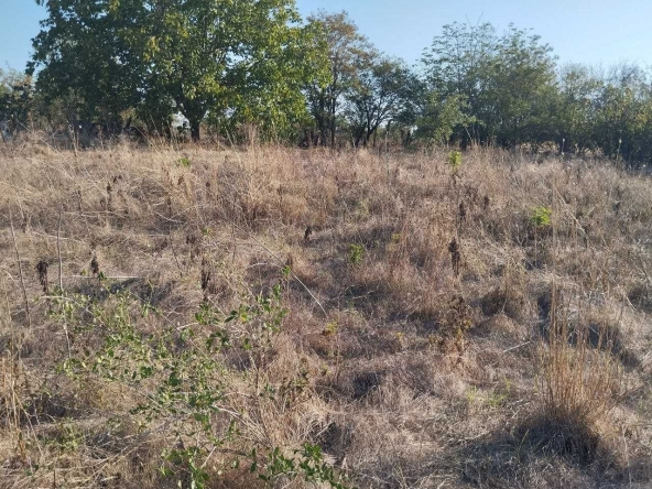 Парцел в с. Кирилово, Област Ямбол - 640 кв.м за 4 €/кв.м - Снимка #1