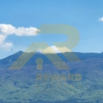 Тристаен апартамент в София, Люлин 6 - 89 кв.м за 2022 €/кв.м - Снимка #1