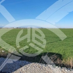Парцел в Асеновград - 5300 кв.м за 23 €/кв.м - Снимка #1