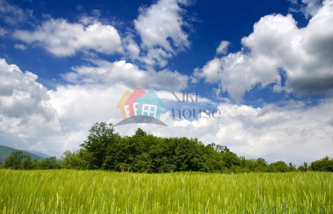 Парцел в с. Китен, Област Варна - 1750 кв.м за 4 €/кв.м - Снимка #1