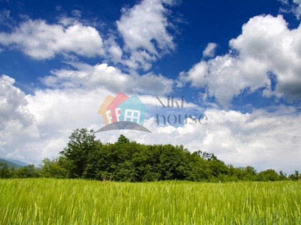 Парцел в Варна, м-т Боровец - север - 388 кв.м за 74 €/кв.м - Снимка #1