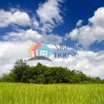 Парцел в с. Шкорпиловци, Област Варна - 1150 кв.м за 65 €/кв.м - Снимка #1