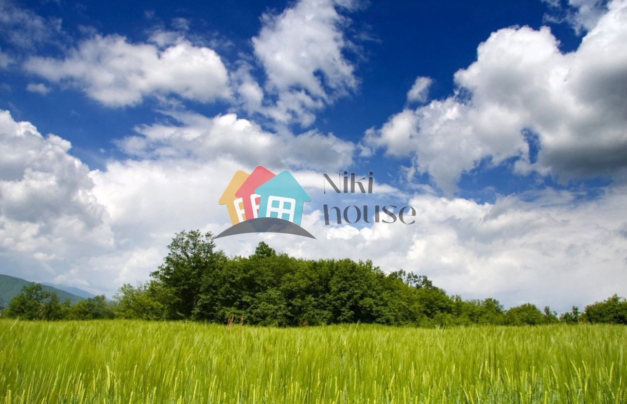 Парцел в с. Шкорпиловци, Област Варна - 1150 кв.м за 33 €/кв.м - Снимка #1