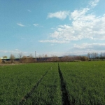 Парцел в Пловдив, Индустриална зона - Север - 7000 кв.м за 30 €/кв.м - Снимка #1