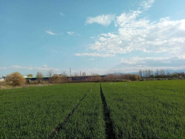 Парцел в Пловдив, Индустриална зона - Север - 7000 кв.м за 30 €/кв.м - Снимка #1