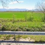 Парцел в с. Цалапица, Област Пловдив - 9900 кв.м за 13 €/кв.м - Снимка #1