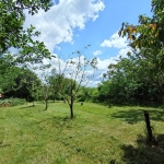 Парцел в с. Пороище, Област Разград - 850 кв.м за 11 €/кв.м - Снимка #1