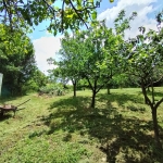 Парцел в с. Пороище, Област Разград - 850 кв.м за 25 €/кв.м - Снимка #1