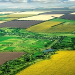 Земеделски имот в Дулово -  кв.м за 170 €/дка - Снимка #1