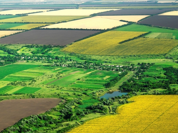 Земеделски имот в Дулово -  кв.м за 170 €/дка - Снимка #1