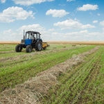 Земеделски имот в с. Любен, Област Силистра -  кв.м за 149 €/дка - Снимка #1