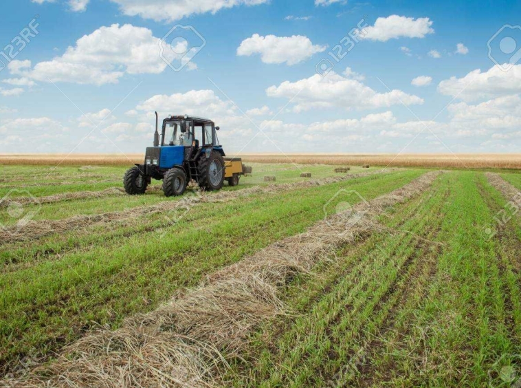 Земеделски имот в с. Любен, Област Силистра -  кв.м за 149 €/дка - Снимка #1